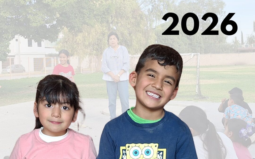 Informe Semestral 2026